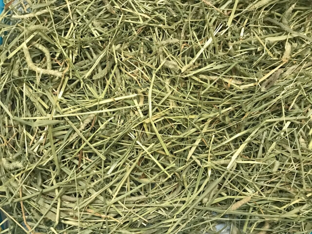 ハムスターの床材(牧草)