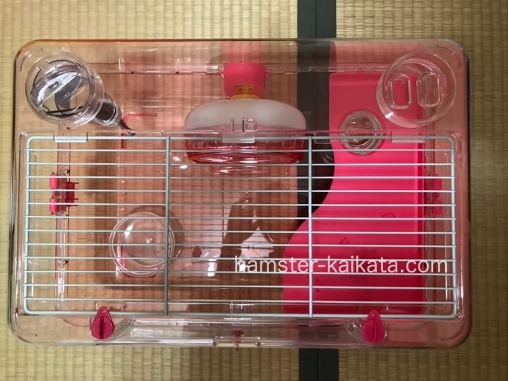 ハムスター飼育セット「ルーミィ（大サイズ）」上から撮影
