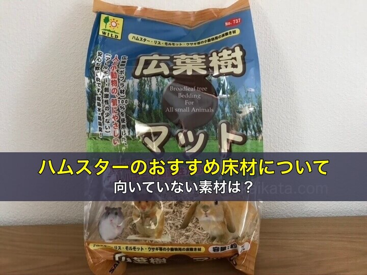 ハムスターのおすすめ床材について。向いていない素材は？
