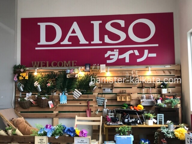 100均ダイソー(DAISO)店舗の入口